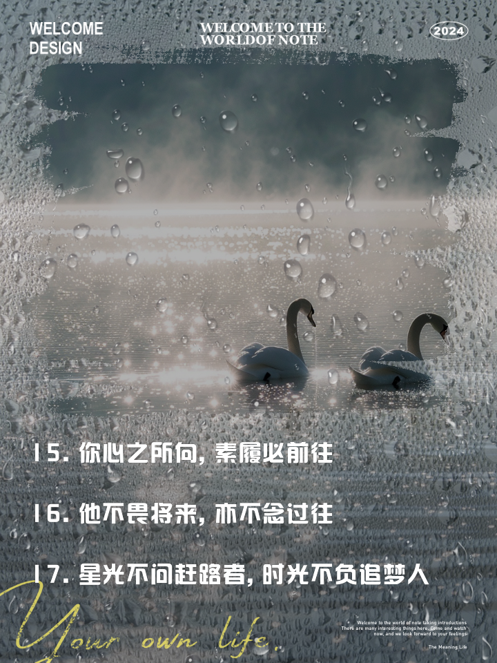 包含无惧风雨！坚韧不拔的阵容准备迎接挑战，强者向来顽强的词条